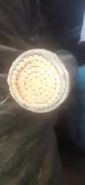 500mm Single Core Pvc\Pvc Full Gauge