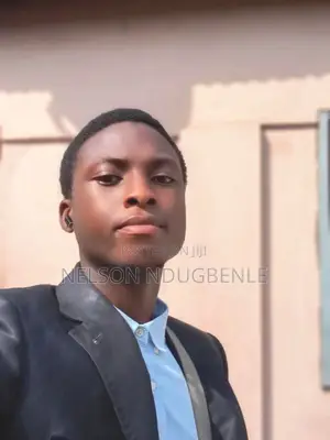 Graphic and Video Editor