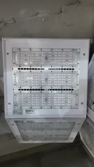 150w Benita Floodlight
