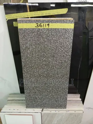 Compound/Outdoor Porcelain Floor 30x60 Tiles