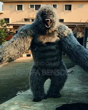 Gorilla for Rent in Owerri
