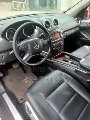Mercedes-Benz M Class 2011 Gray