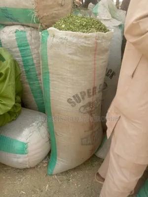 Moringa Leaves