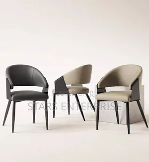 Dining Chair / Modern Restaurant Chair
