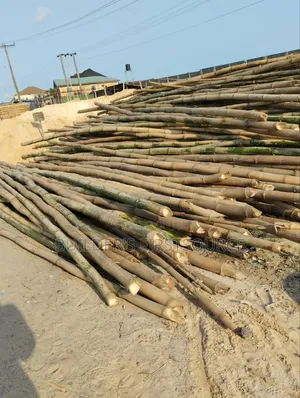 Strong Bamboo