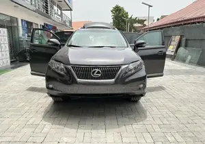 Lexus RX 350 2010 Gray