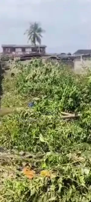 Commercial Half Plot of Land on Ikotun Igando Rd