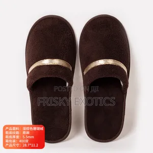 Indoor Slides