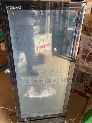 Snowsea Freezer 270 Litres Showcase