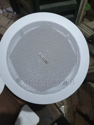 Original Lucky Tone Ceiling Speaker, 20watts, With Twitter