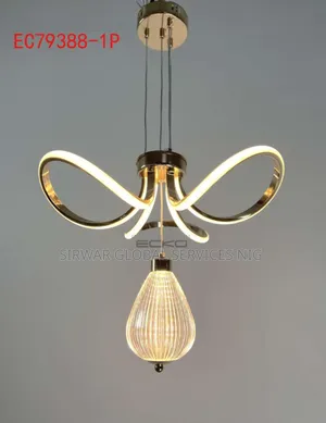 Simple Single Drop Light Fitting