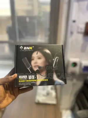 BNK Wireless Overhead Mic
