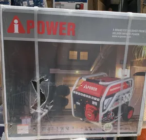 -power Petrol Generator – Ds6800cew (100% Copper