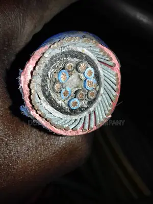2.5mm X 5pair Armored Instrumentation Cable