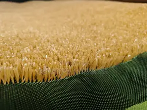 Beige Grass and Black Artificial Grass Carpet