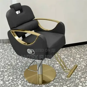 Salon Chair