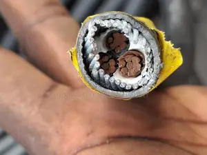 16mmx3core Xlpe/Swa/PVC Copper Armored Cable