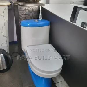 Kids Modern Blue White Executive Toilet