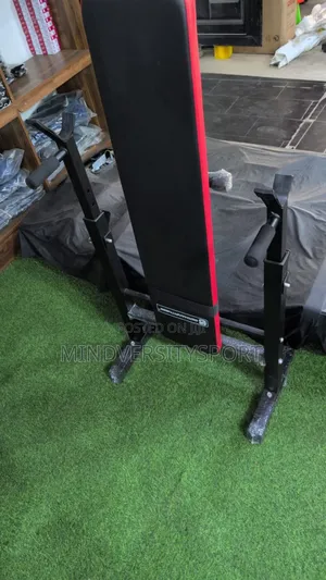 Adjustable Sit-Up Bench