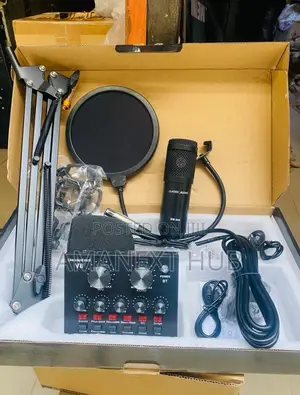 Professional Condeser Mic With the Sound Card and Other Accessories
