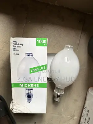 1000 Watts Micrene Bulb