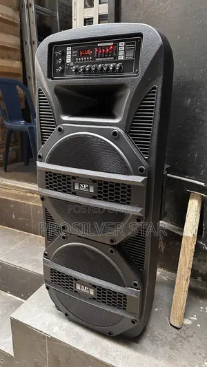 Soundprince Double 15inches Public Address System