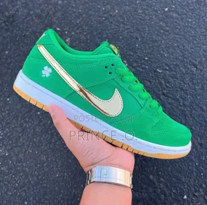 Nike Sb Dunk Sneakers