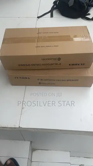 Tundra 4in1 8inched Bluetooth Ceiling Speaker