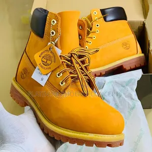 Grade a Timberland Shoe