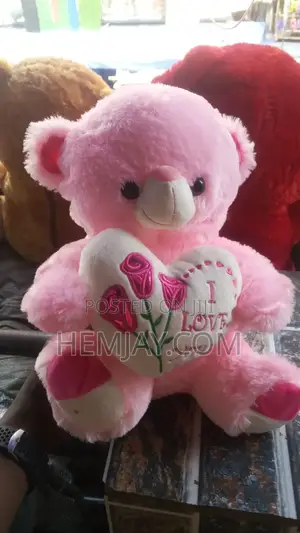 Cute Teddy Bear Available in Different Designs and Sizes