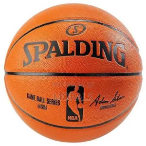 Basketball Ball (Professional Standard)