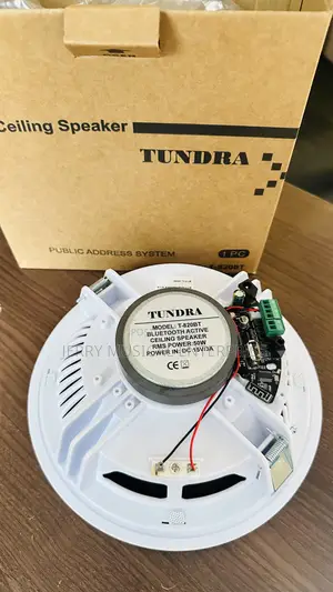 Single Bluetooth Ceiling Speakers 50w