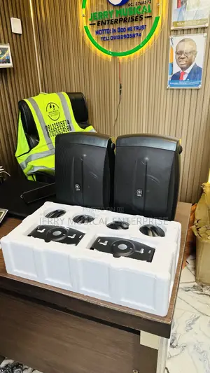 Professional Hanging Speakers For Hall Bar Restaurant Etc