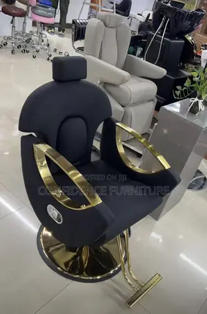 Vvip Saloon Chair