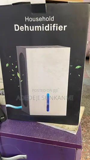 2l Mini Portable Small Dehumidifier for Home