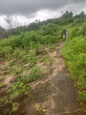 Plot of Land for Sale, Dry Land, at Oforola Owerri West Lga Imo State.