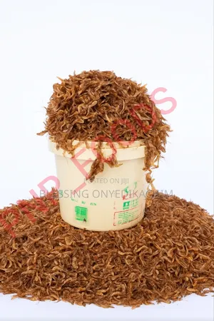 Oron Crayfish