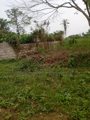 For Sale: Two Plots of Land