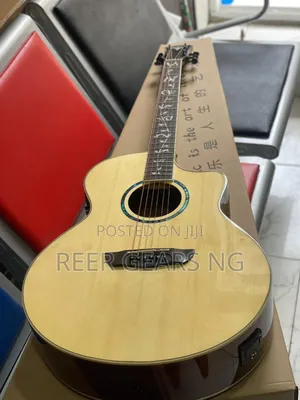 Natural Bullfighter D-4013 Semi and Electro Acoustic Guitar