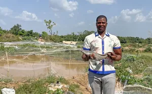 Automated Cat Fish Farm