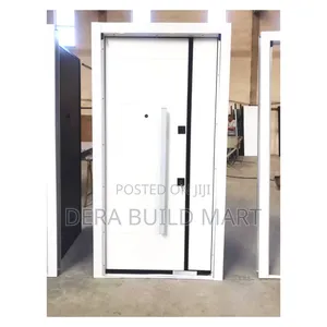The Artic Minimalist White Security Door