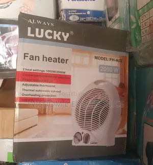 Always Lucky Fan Heater