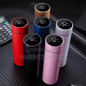 Thermo Led Temperature Display Vacuum Insulated Smart Water Bottle