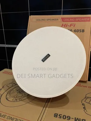 300w Boom Hi-Fi Ceiling Speaker