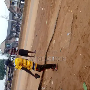 Company Driver