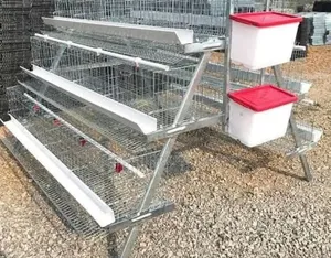 Broilers Cage And Layers Cage
