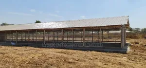 Poultry Farm Setup