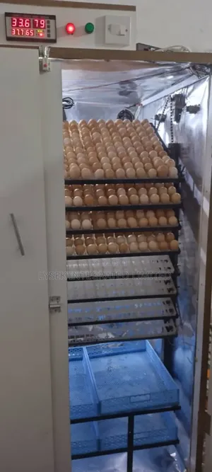 Poultry Farm Setup