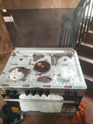 Hair Thermocool Madame Standing Gas Cooker