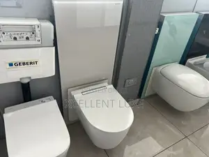 Geberit Executive Wc With Surface Glass Cistern High Quality Cyphon